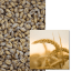 APACHE BIO - Image 1