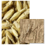 CONVOITISE - Image 1