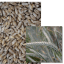 LUMACO - Image 1