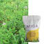 MICARA - Image 1