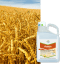 AUZON DUO - Image 1