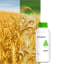 COMPIL - Image 1
