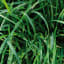 TARDI - Image 2