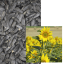 LG 50268 - Image 1