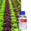 SUCCESS 4 - Image 1