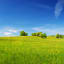 CAMELINE - Image 1