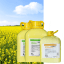 EFFITEC + KATAMARAN - Image 1