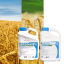 FORAPRO + SESTO - Image 1