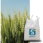 RGT LUXEO - Image 1