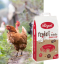 REGAL POULET POULETTE - Image 1