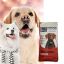 YESFOOD ACTIVITE - Image 1