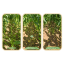 CLOMATE - Image 5