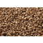 Briess Malting Victory Malt - Image 1