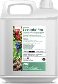 SPOTLIGHT PLUS
