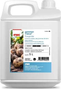 TIZCA