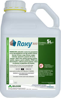 ROXY 800
