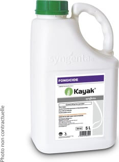 KAYAK