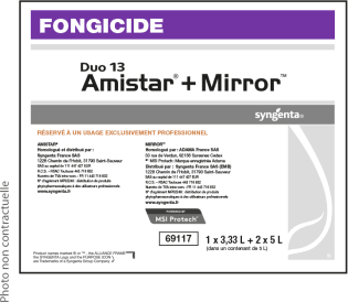 DUO 13 AMISTAR(1X3,33L)MIRROR(2X5L)