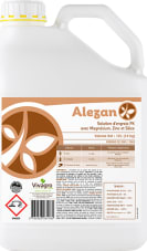 ALEZAN