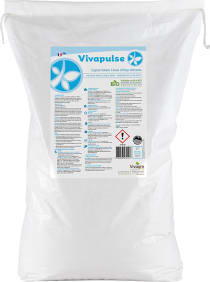 VIVAPULSE