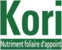 KORI MAG B