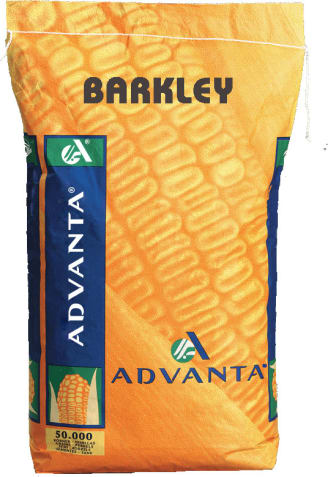 BARKLEY