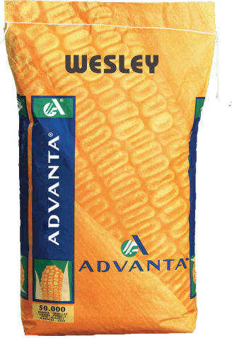 WESLEY