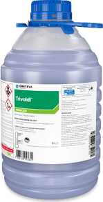 TRIVALDI