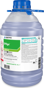 EFFIGO