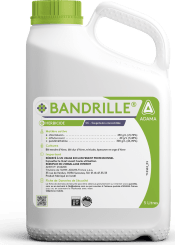 BANDRILLE