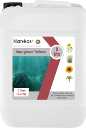 Nanéos® BMo