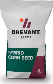 BRV1121A