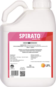 SPIRATO