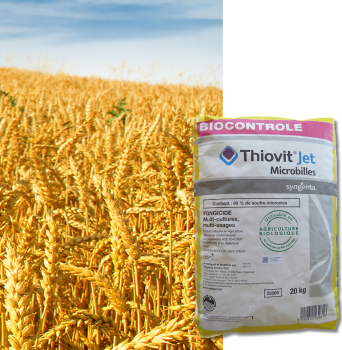 THIOVIT JET MICRO BILLES