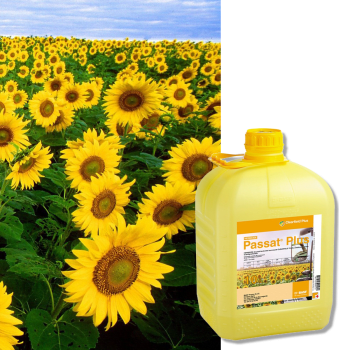 PASSAT PLUS