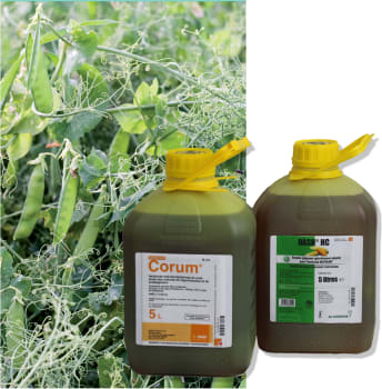 CORUM® + DASH® HC 5L + 5L