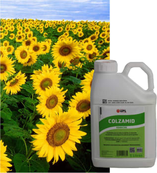 COLZAMID