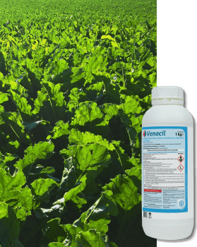 VENACIL