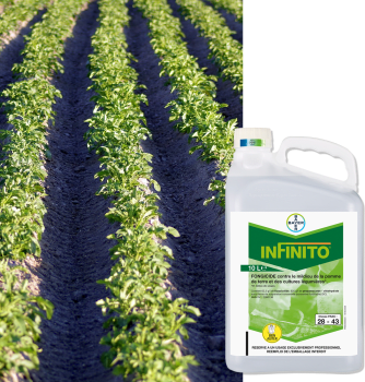 INFINITO
