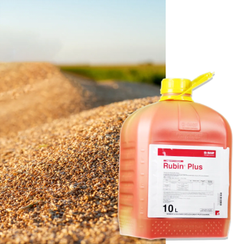 RUBIN PLUS