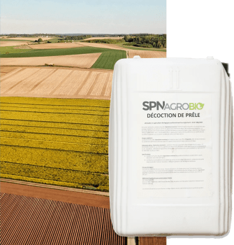 DECOCTION DE PRELE