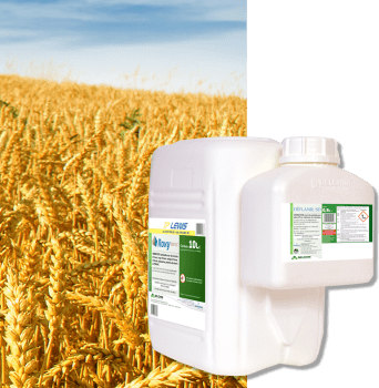 ROXY 800 + DIFLANIL SD