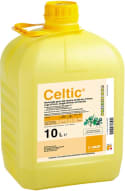 CELTIC