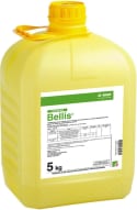 BELLIS