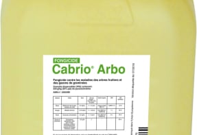 CABRIO ARBO