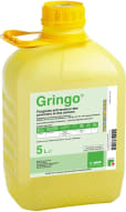 GRINGO