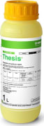 THESIS
