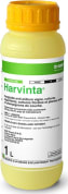 HARVINTA