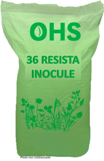 OH 36 RESISTA INOCULE