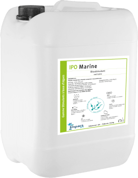 IPO MARINE